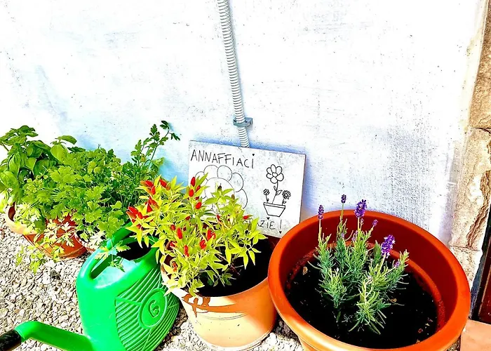 Apartamento Monolocale Deluxe A 2,7 Km Dal Mare Per 2 Persone